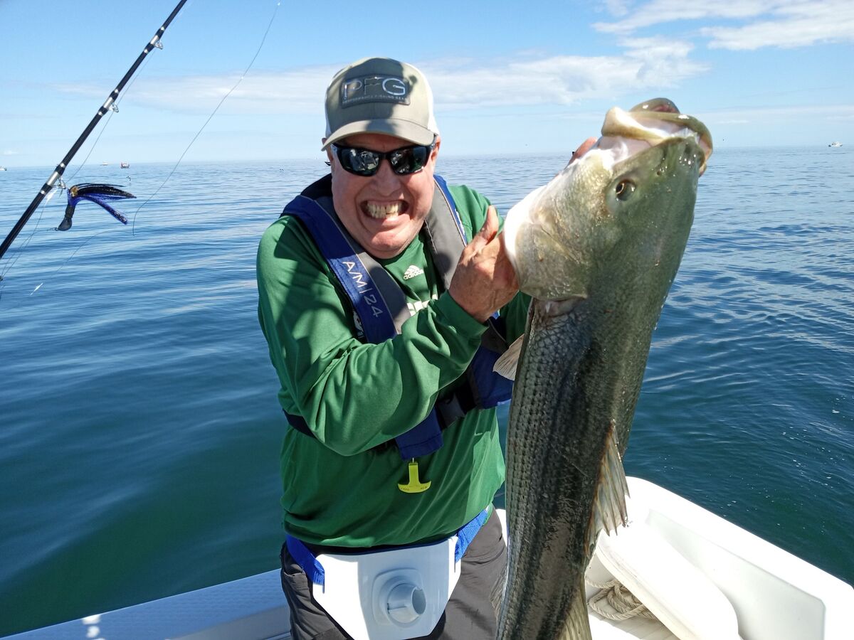 Stripers in Cape Cod Bay! The striper fishing is hot and heavy on Cape