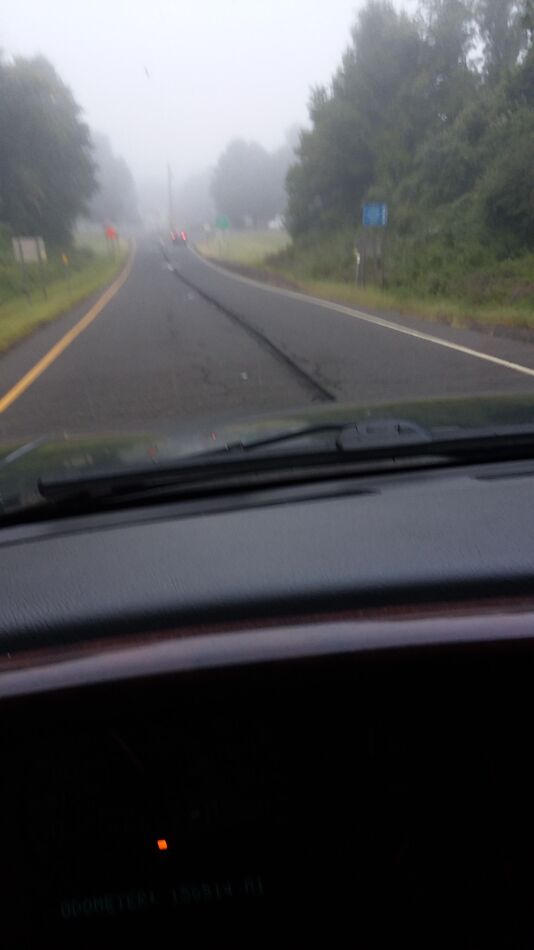 Fog at the exit...