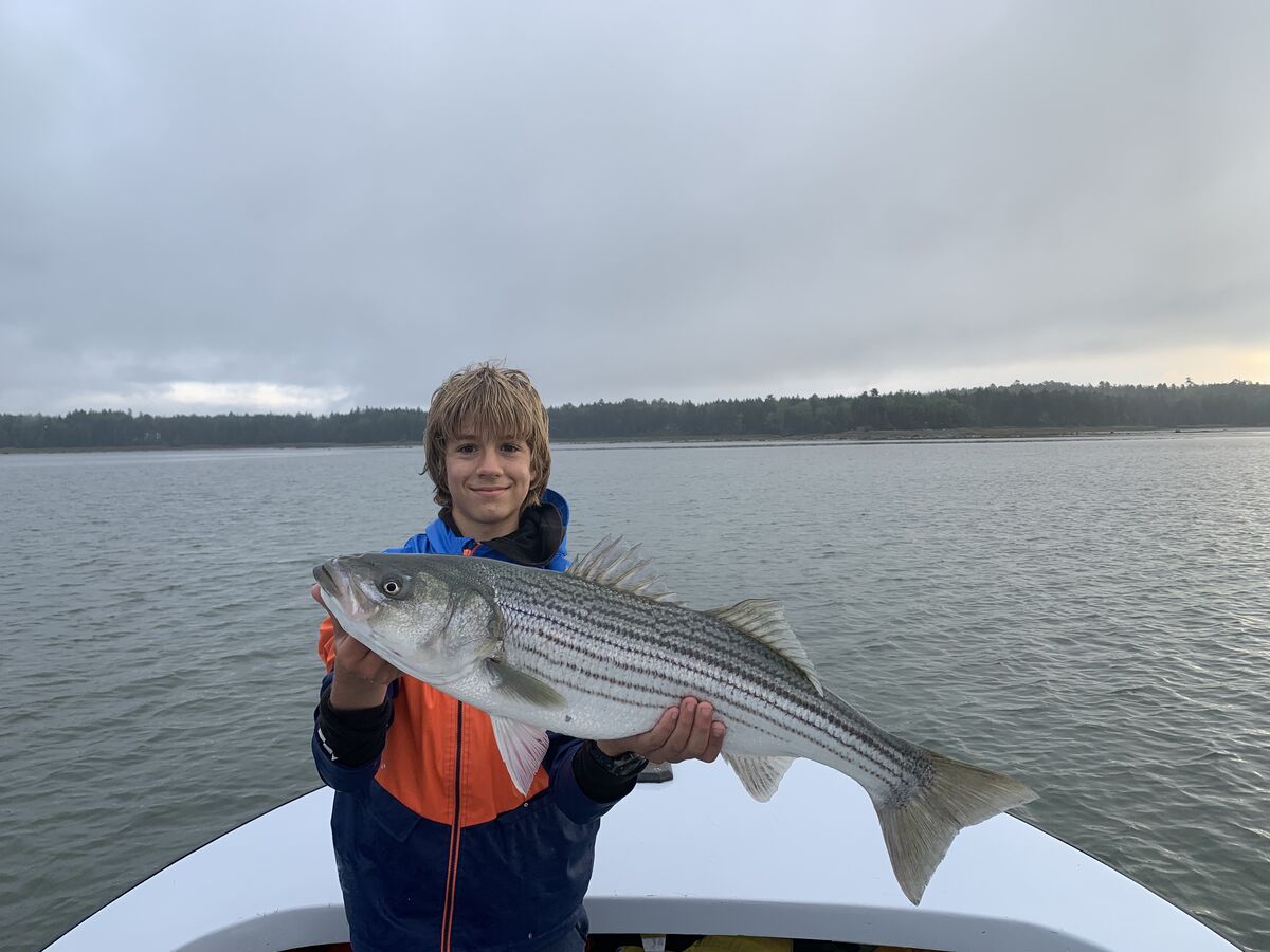 Stripers Brooklin Maine Our son and law and our two grandsons went out