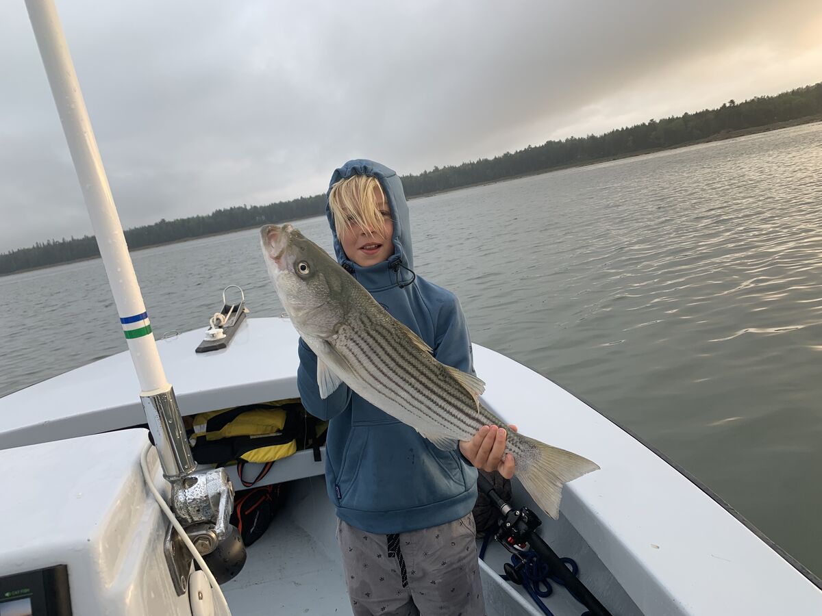 Stripers Brooklin Maine Our son and law and our two grandsons went out