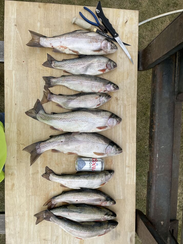 Hauser Lake Rainbows MT Fished Hauser today with digger (Dad) Trolling