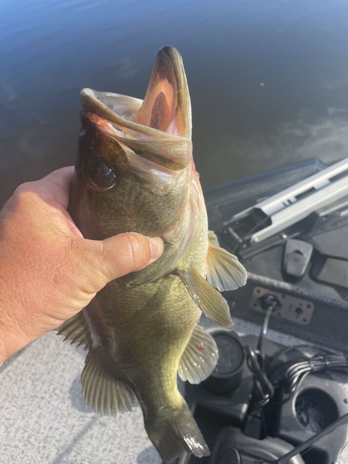 Huntsville State Park / Lake Raven: WOW! My best day ever on lake Raven ...