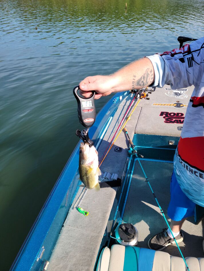 Greers Ferry Lake 8/7/22 Well the fishing is super thought now. And