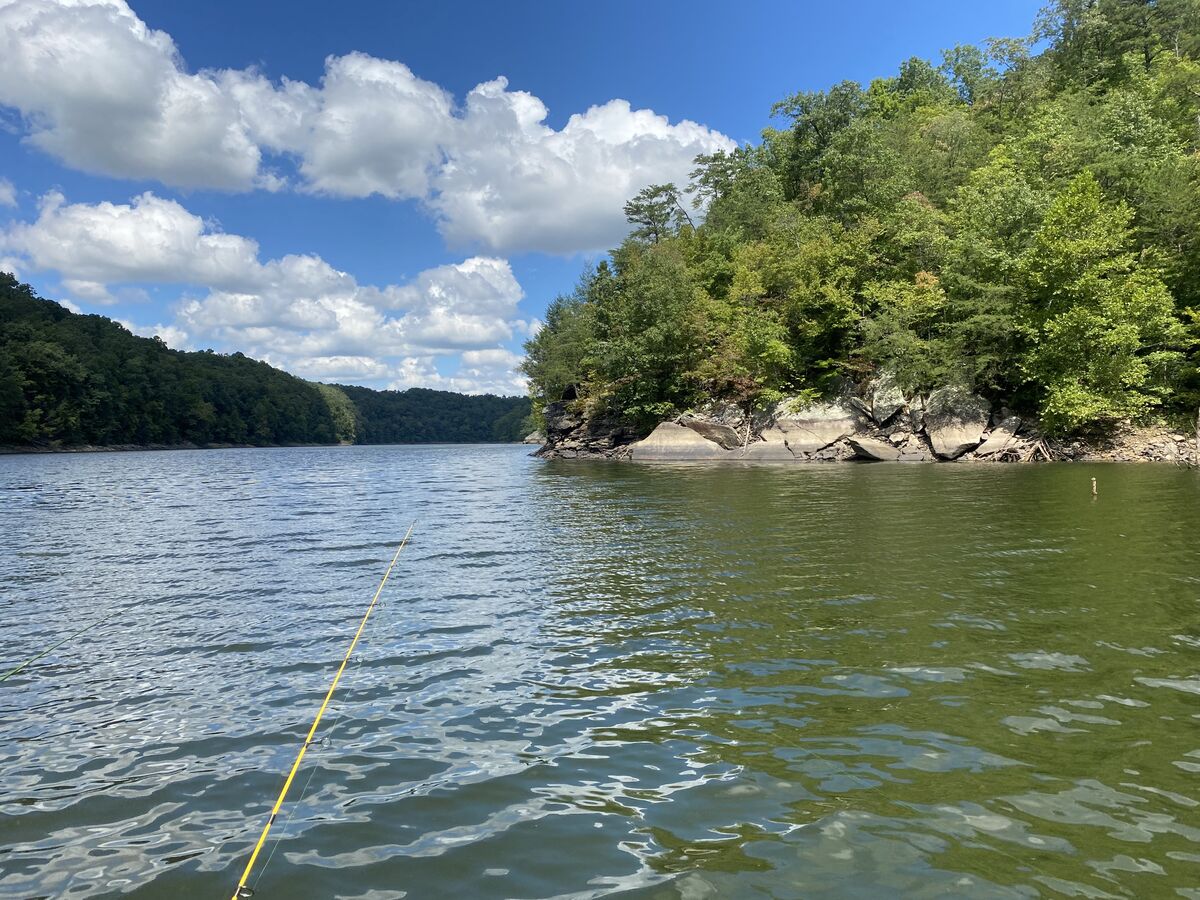 Laurel River Lake smallmouth fishing New here, just wanted to say