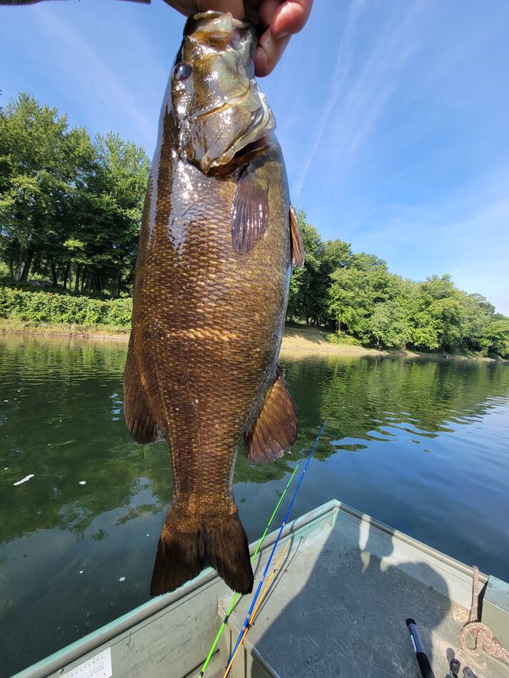 Susquehanna flats Are they hitting...
