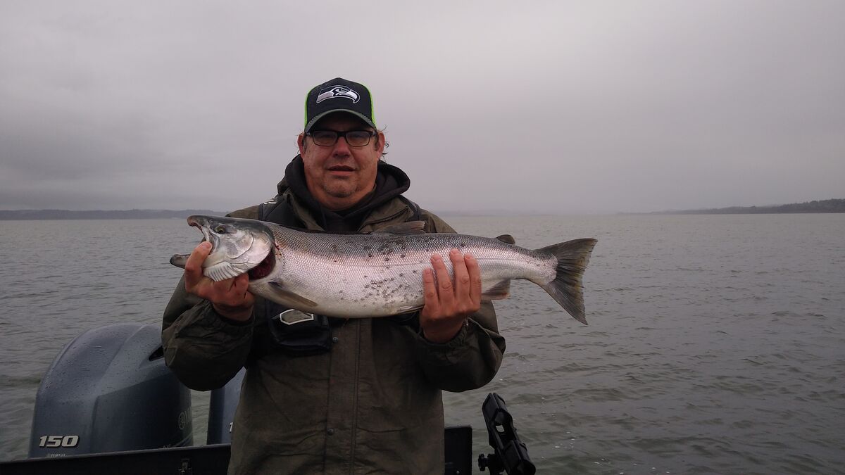 Grays Harbor WA Salmon Fishing New to site. How is everyone? How is