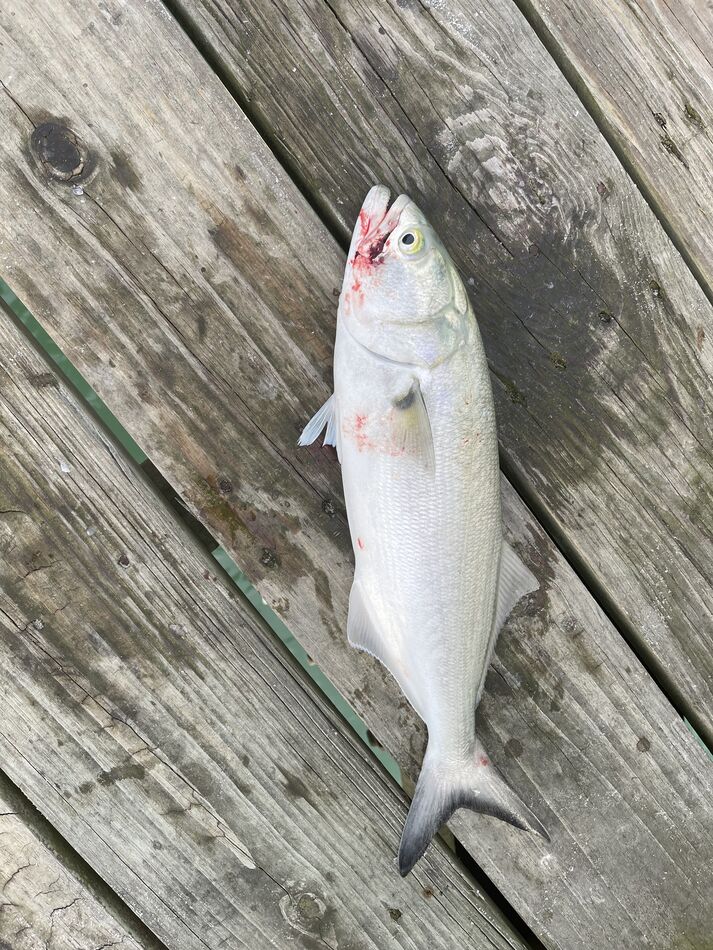 Rough Fishing Today: The water was rough due to the incoming storm ...