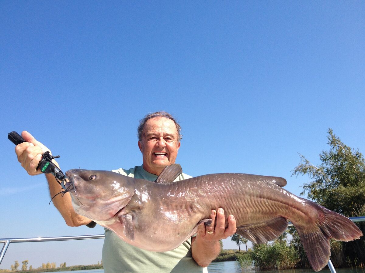 Catfishing lake michigan New Buffalo area New here. Just wanted to get