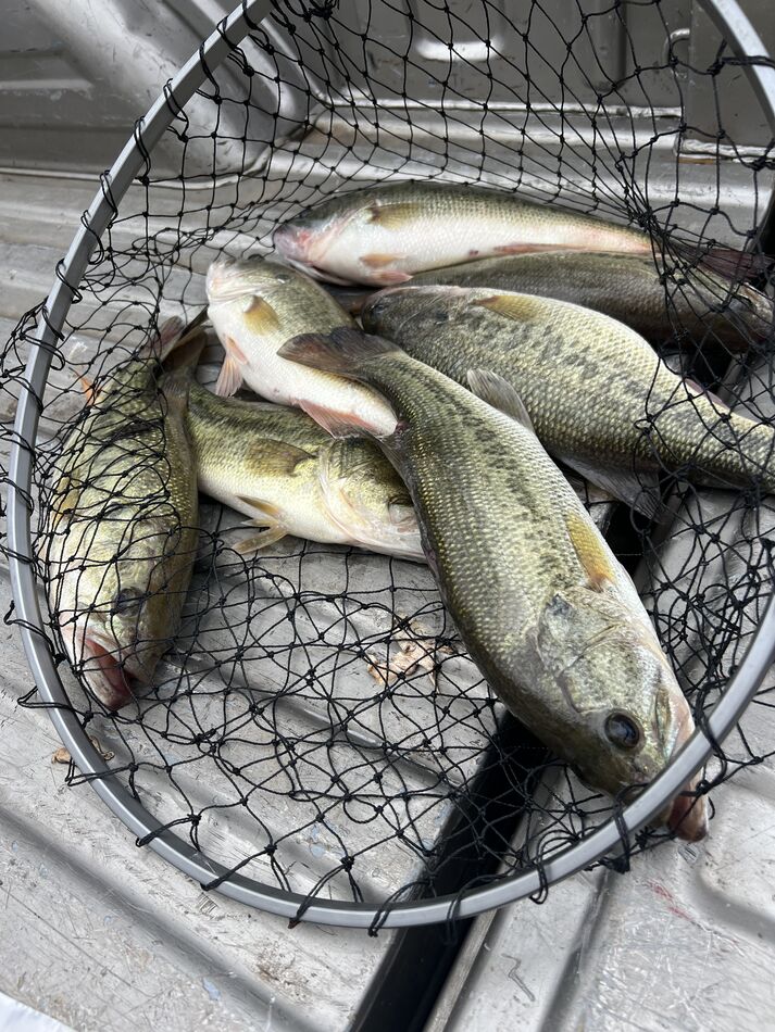 Fished Toledo Bend I fished Toledo Bend the last couple of days. We