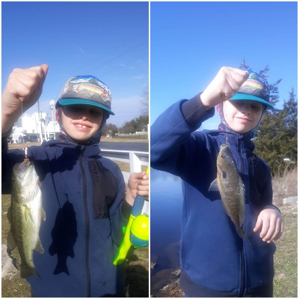 3-2-23-yellow-perch-3-2-23-remember-when-we-were-young-and-wished-with