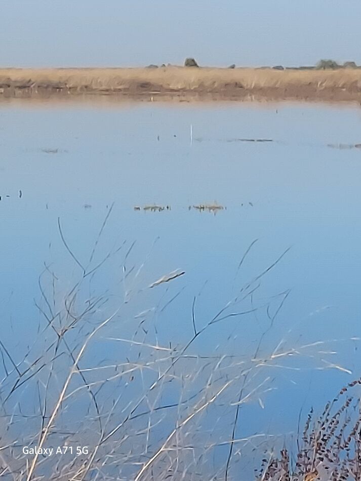 Duck season California Central valley California, Oct 21 duck season...