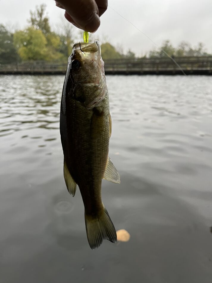 Ultralight jigging in 58 degree water Went ultralight jigging in 58