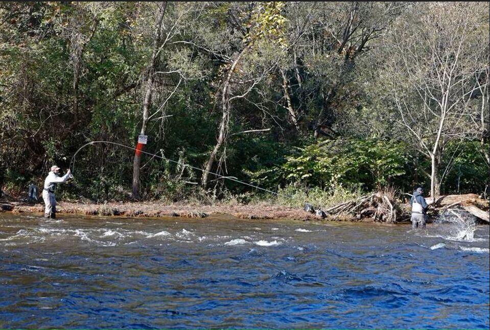 Angler fights a salmon the correct way recently ne...