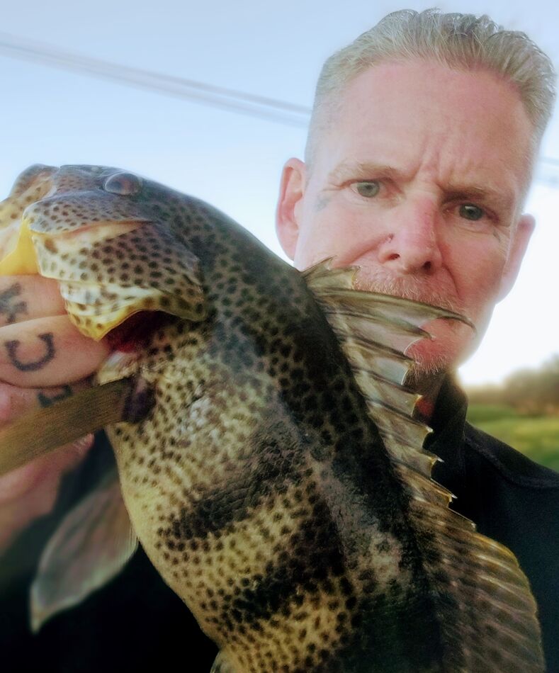 Ocean shore fishing so/cal Any one having any luck in from San Pedro