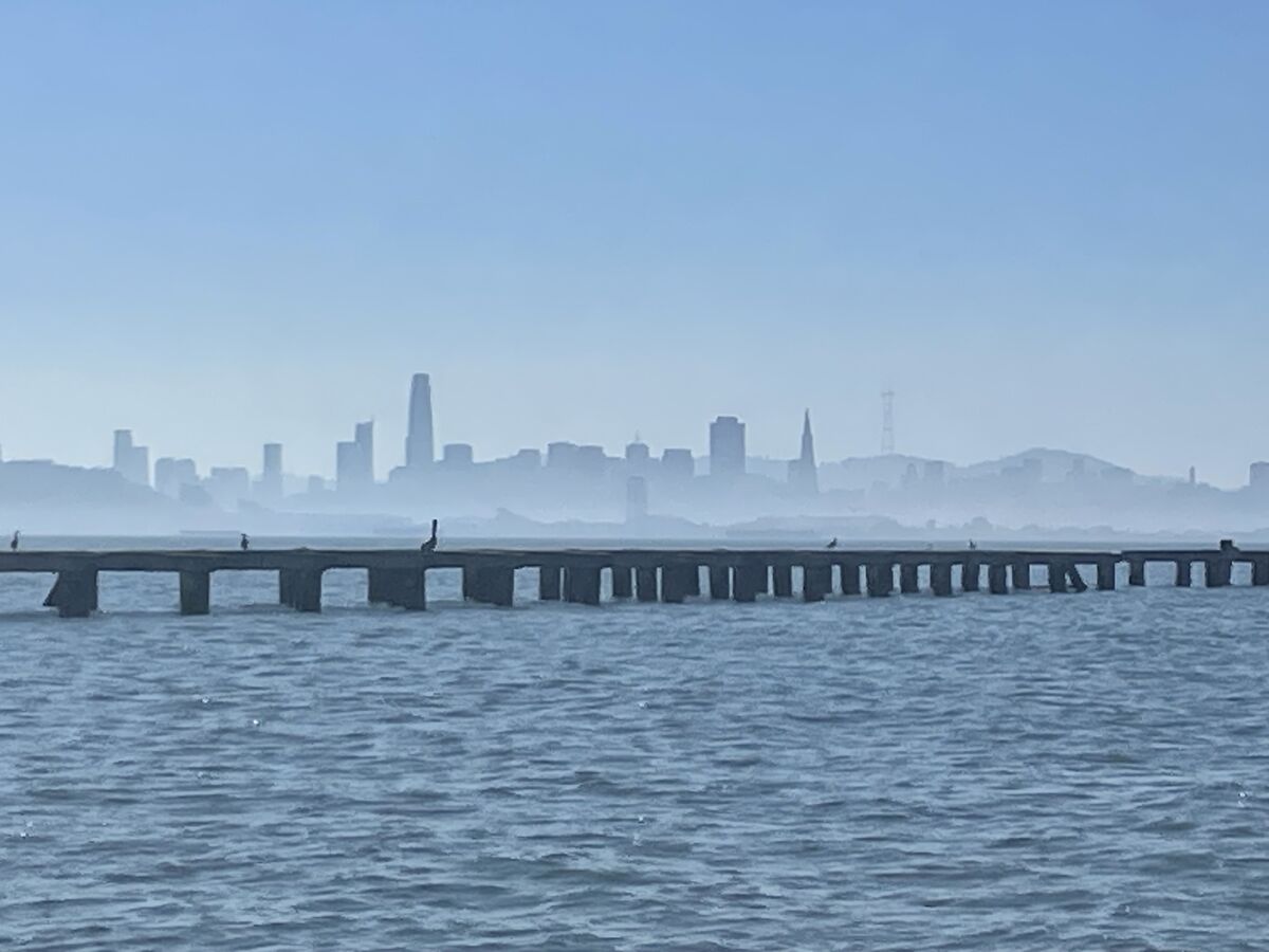 SF skyline and the Berkeley pier....