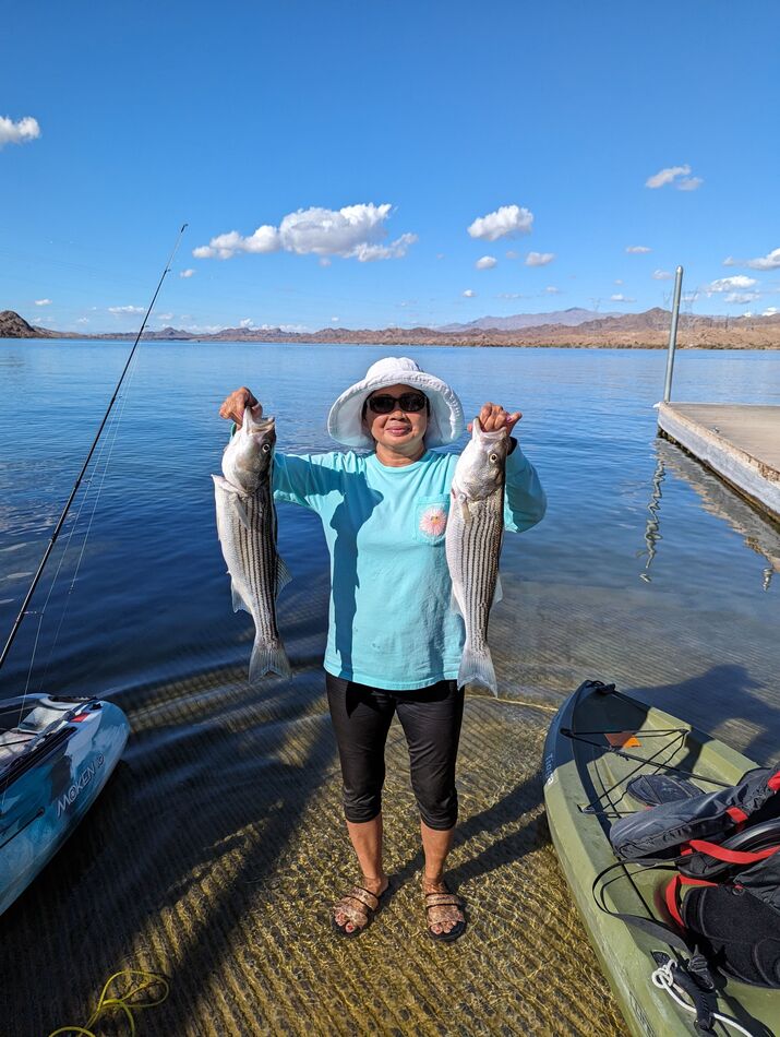 Havasu Striper action on the South Shore I've been reading on FB that