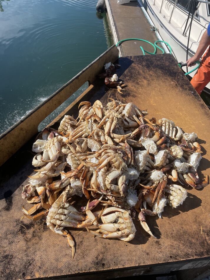 What 30 cleaned crab look like...