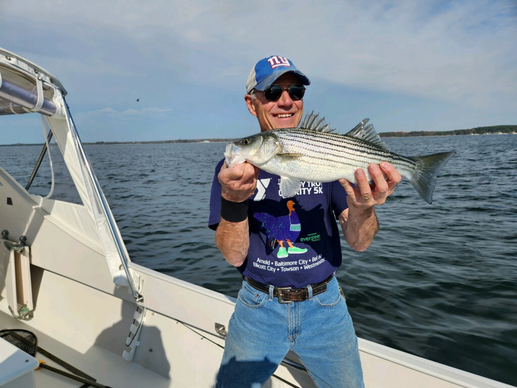 Rockfish in the Choptank Awesome day, rockfish all over the Choptank