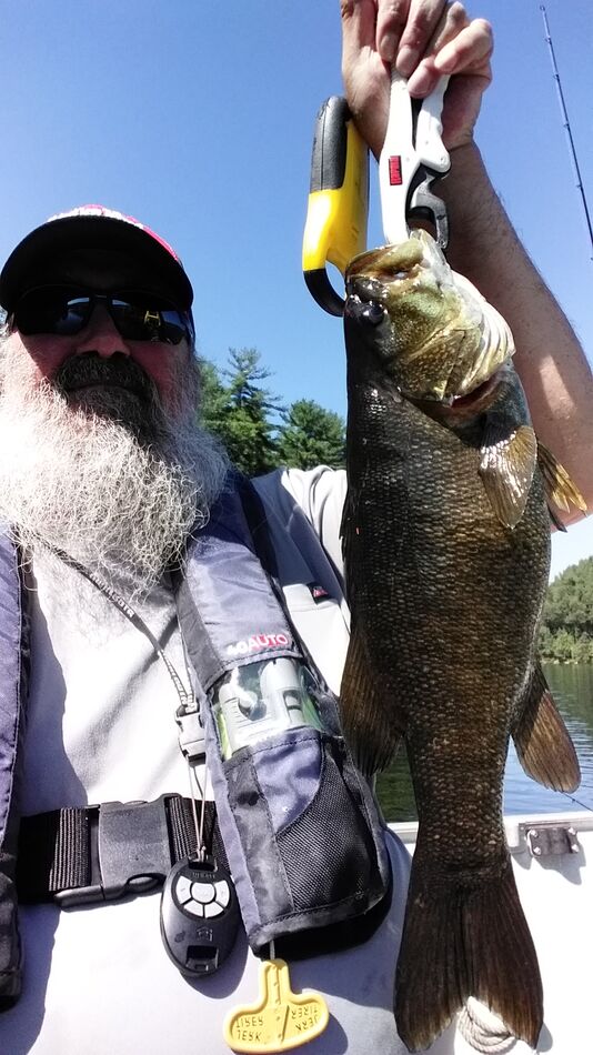 Decent Smallmouths during the summer....