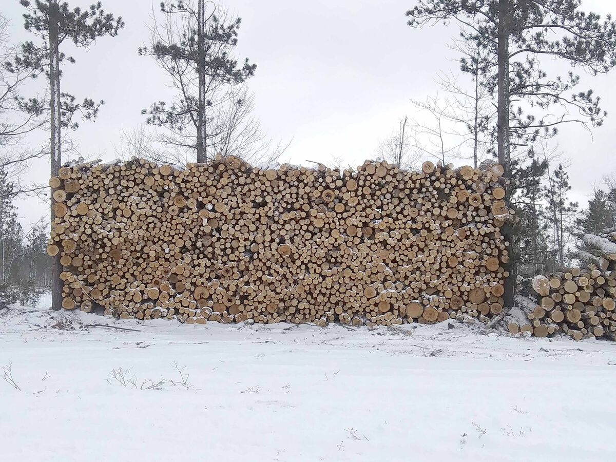 Now that's what I'd call a well organized lumberin...