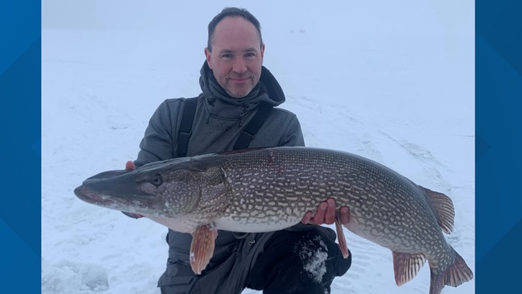 Northern pike ties C&R record MN: Record-tying northern pike caught on ...