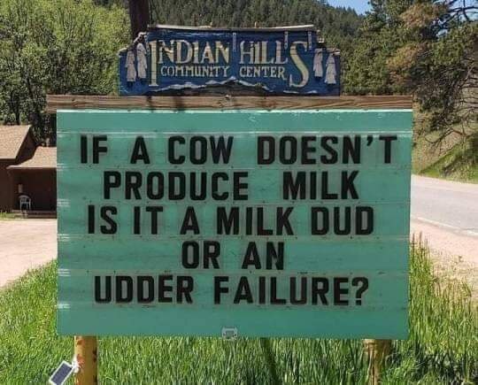 When a cow doesn't produce...