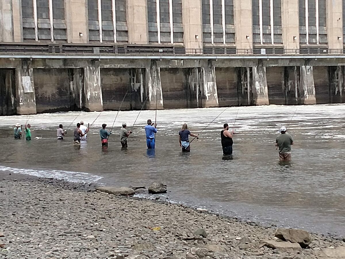 Fishing the Susquehanna River 2 of 2 postings Fishing on the