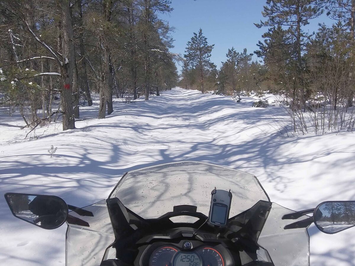 An afternoon snowmobile ride thru a forested area ...