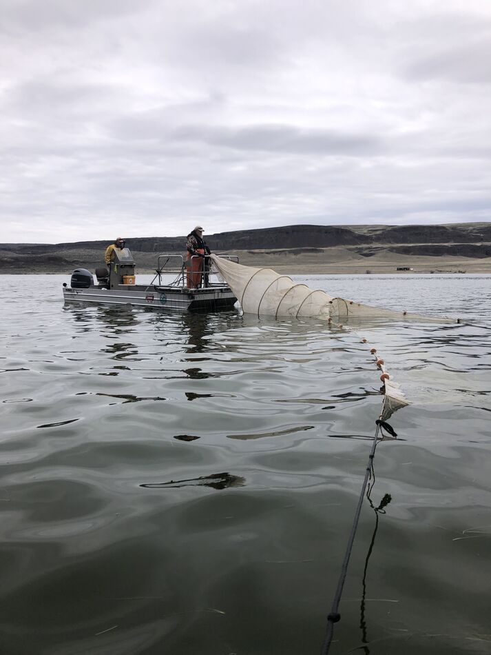 Lenore Any info on Lake Lenore status. Was once my favorite. On the