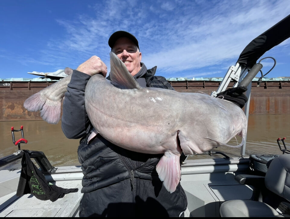 St. Louie Blue Big Cats Second trip on the Mississippi with Captain