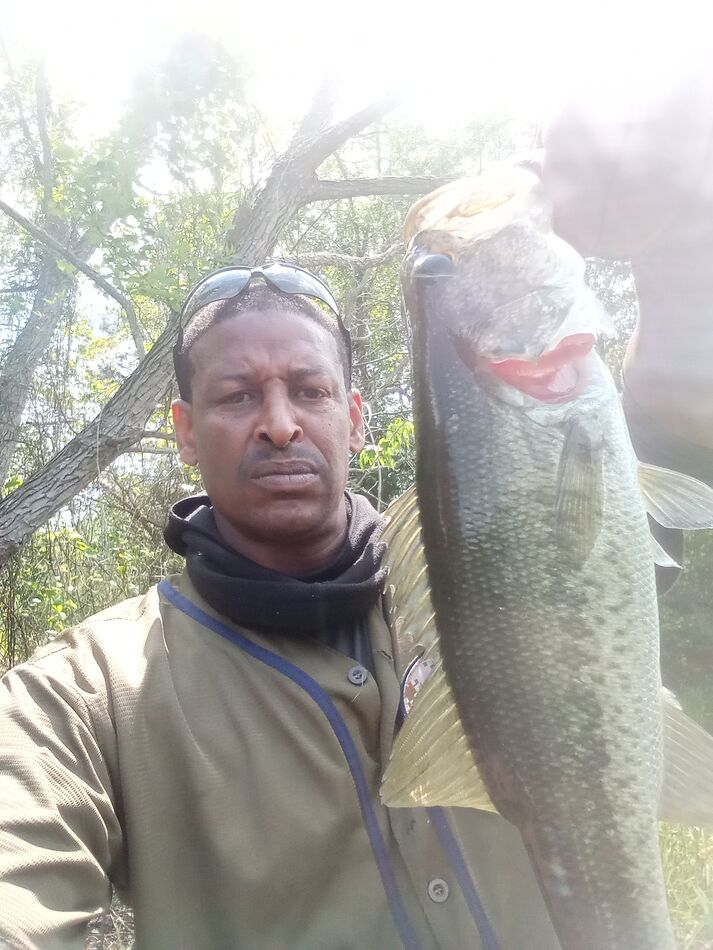 Stunted Bass Hello , while fishing in Cumberland county county and surrounding counties