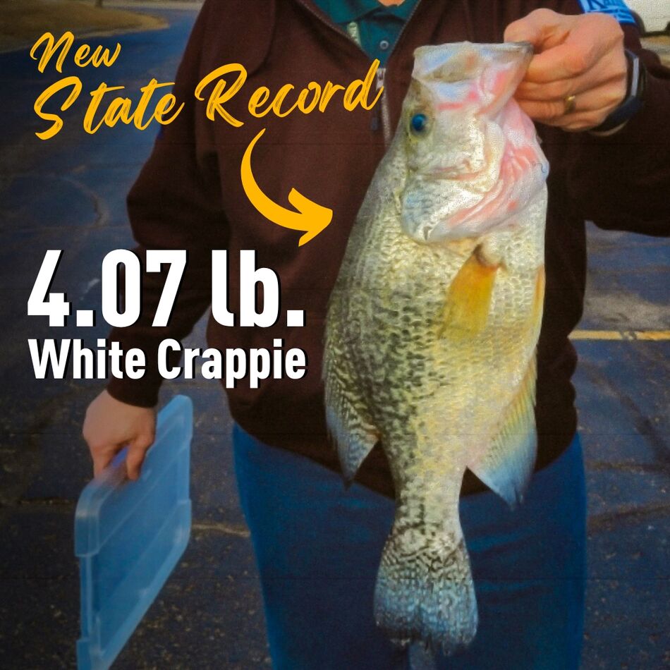 kansas-state-record-crappie-huge-crappie-loomed-beneath-the-surface