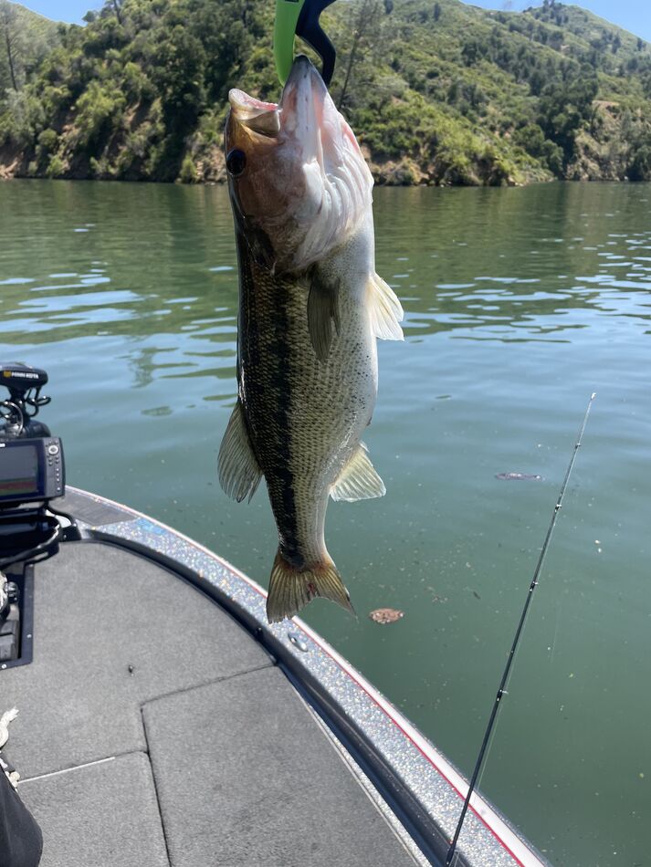 Lake Nacimiento CA I fished Lake Nacimiento with my friend Mark for