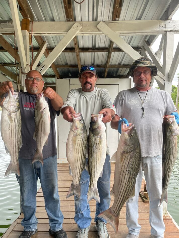 Topwater striper fishing on Norfork Lake Arkansas near Mountain Home