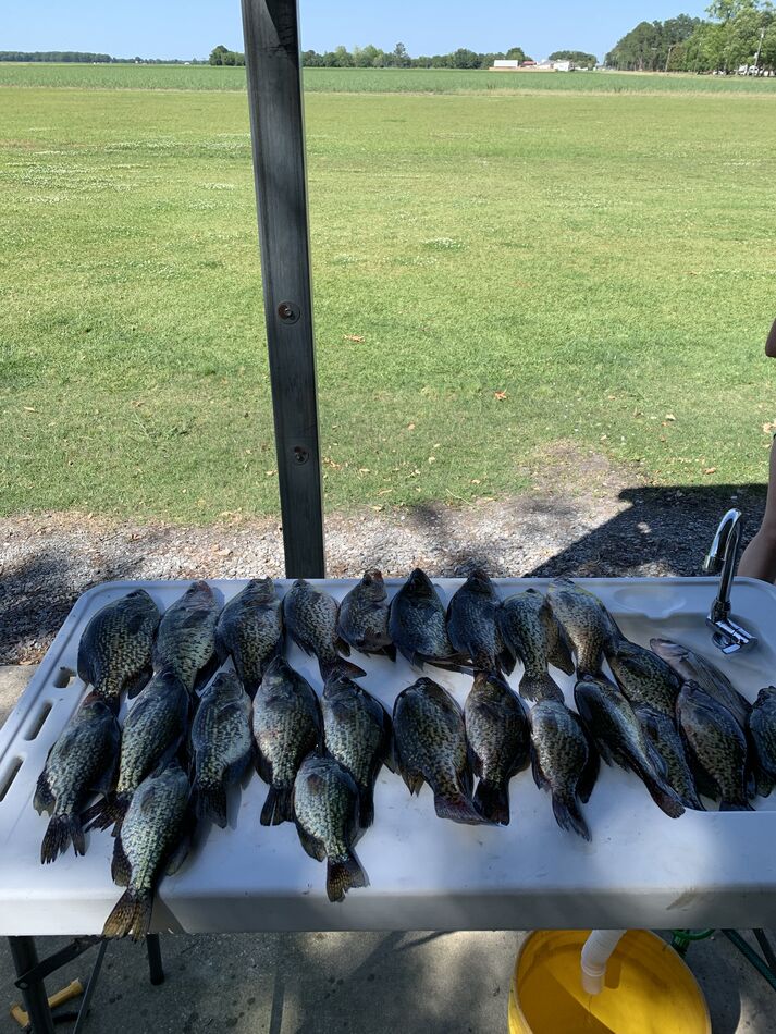 Crappie fishing Where are they biting around Wisner and Delhi,La. That