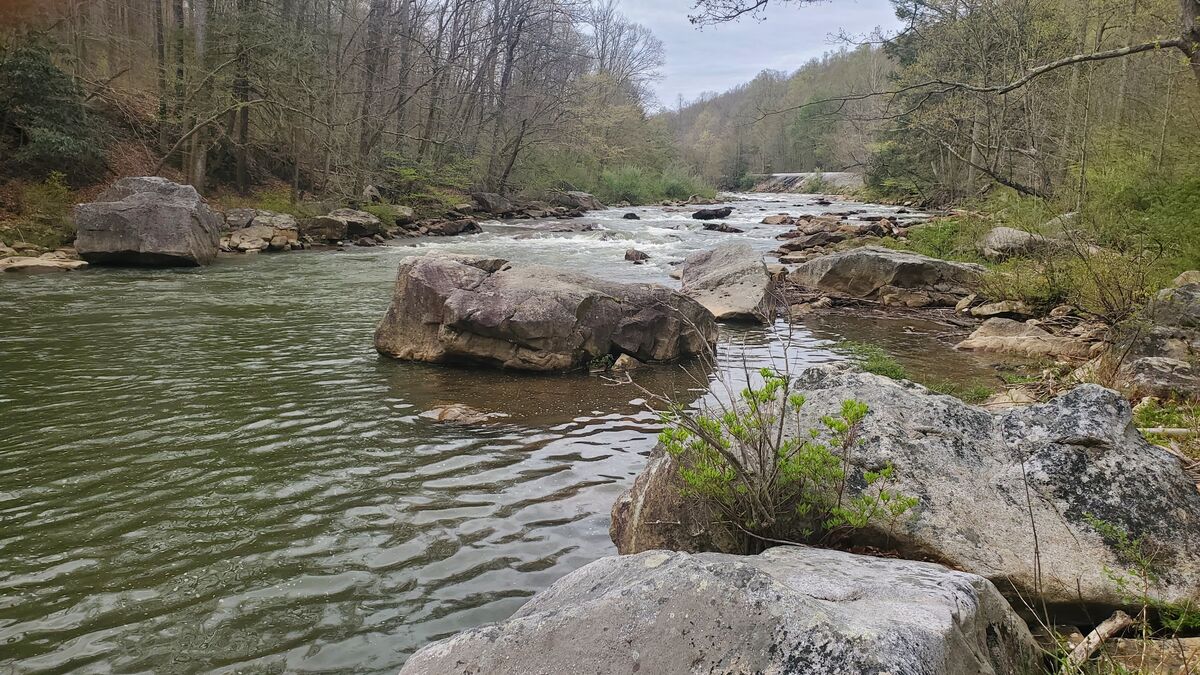 Newton Pond for Trout Delaware Anyone on here with experience fishing