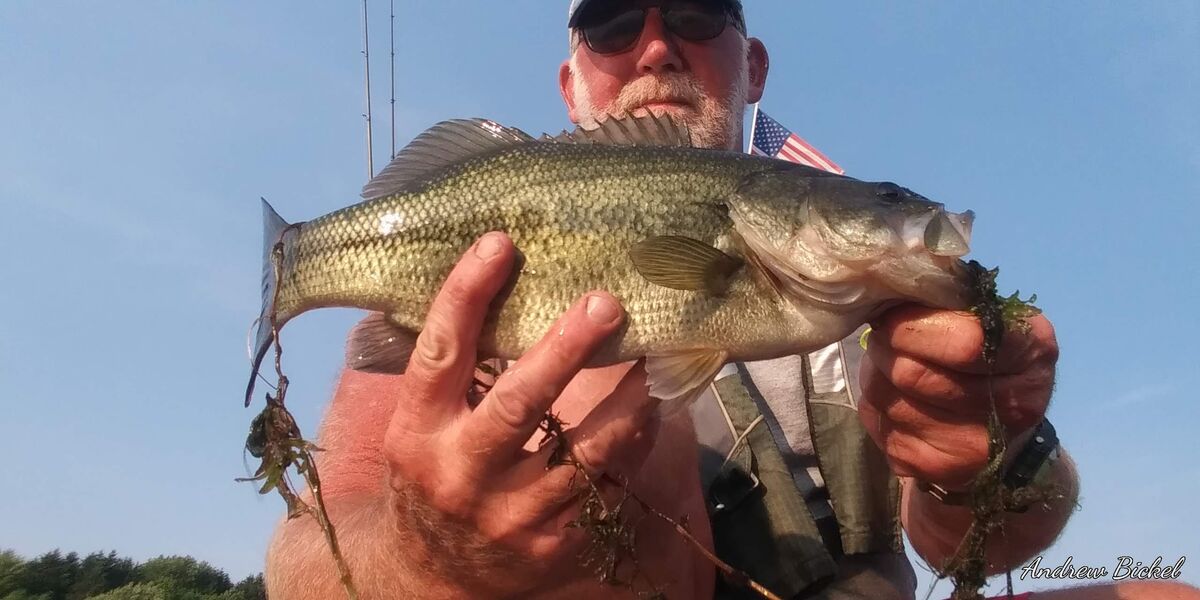 Frogs / Bakers dozen: Got out this afternoon and did ok on frogs ...