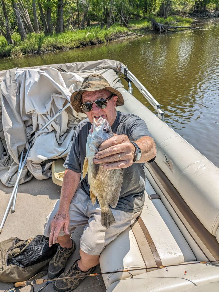 A little sheephead, not a sheepshead....