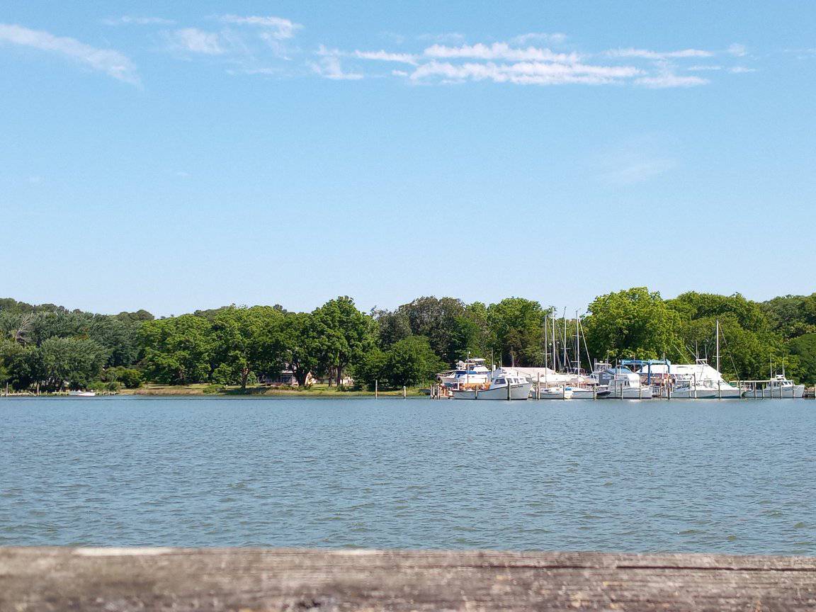 Not Maryland but we can see it from here Well maybe not quite that