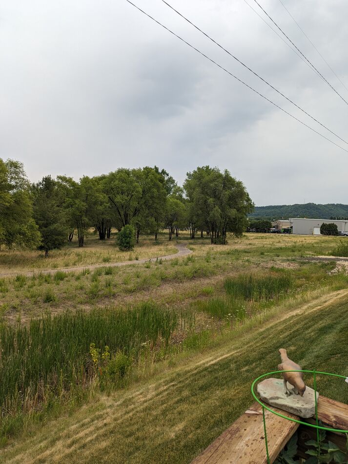 Looking to the South and the cat tails...