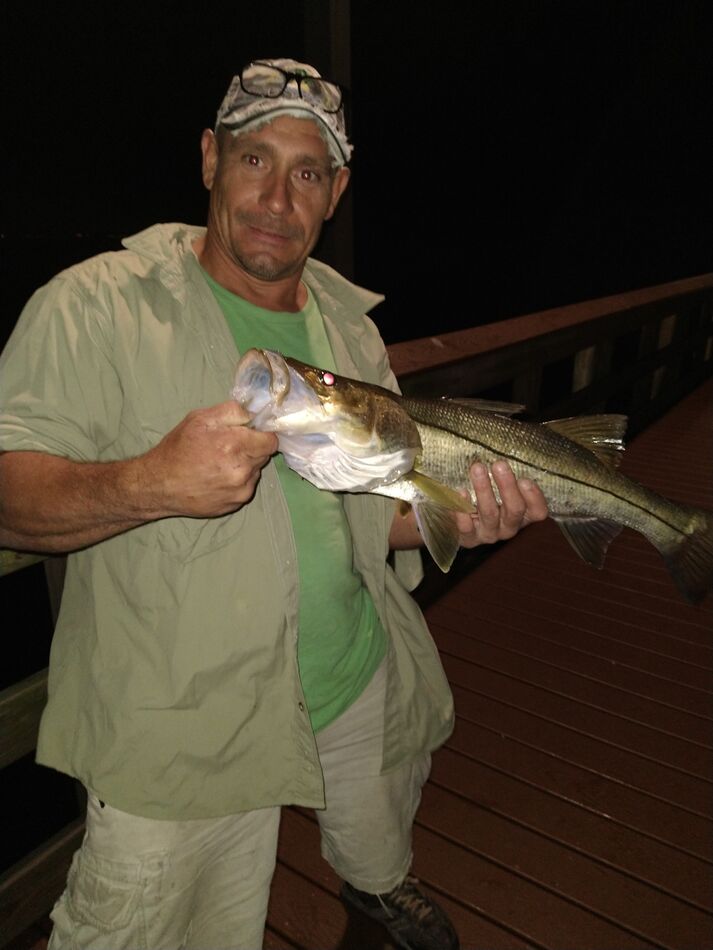 Snook Love catching these Snook...