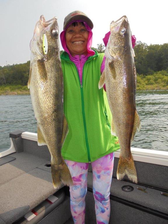 Norfork Lake Walleye Fishing Out of Blackburns Resort and Boat Rental