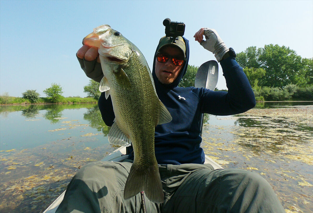 Unblemished bass in a hard-to-reach pond...