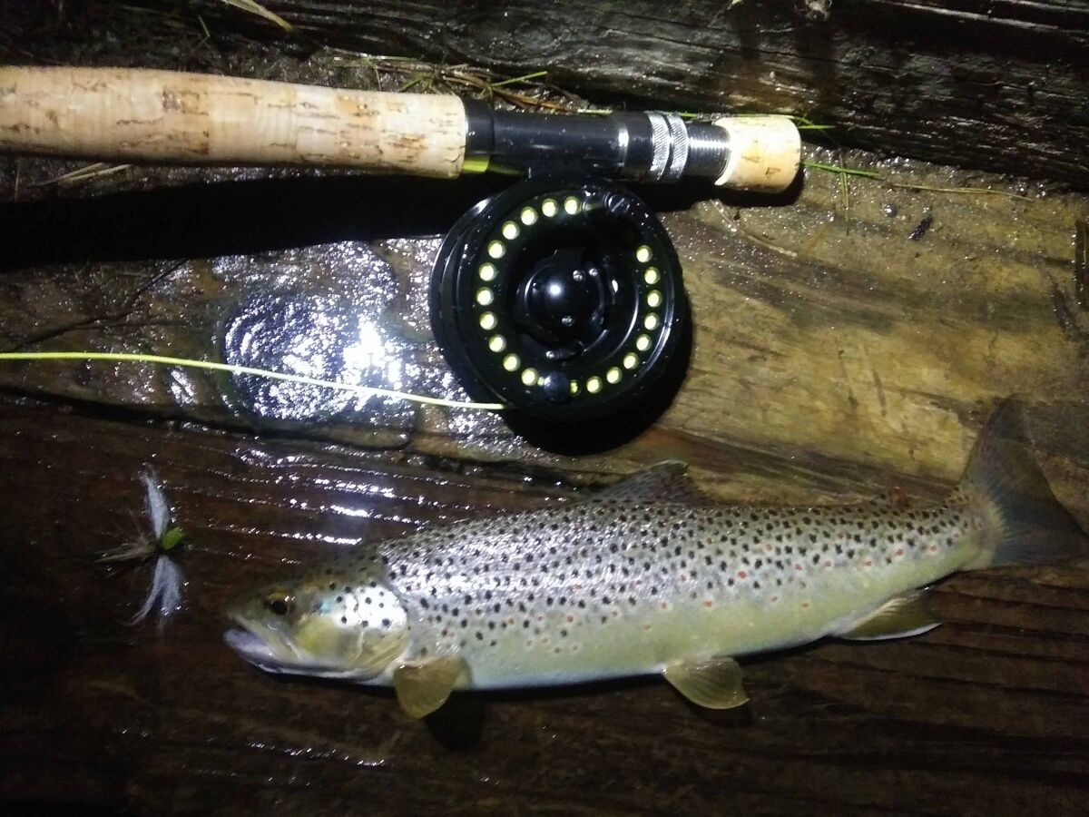 Using an 8 weight home made fly rod tonight. A lit...