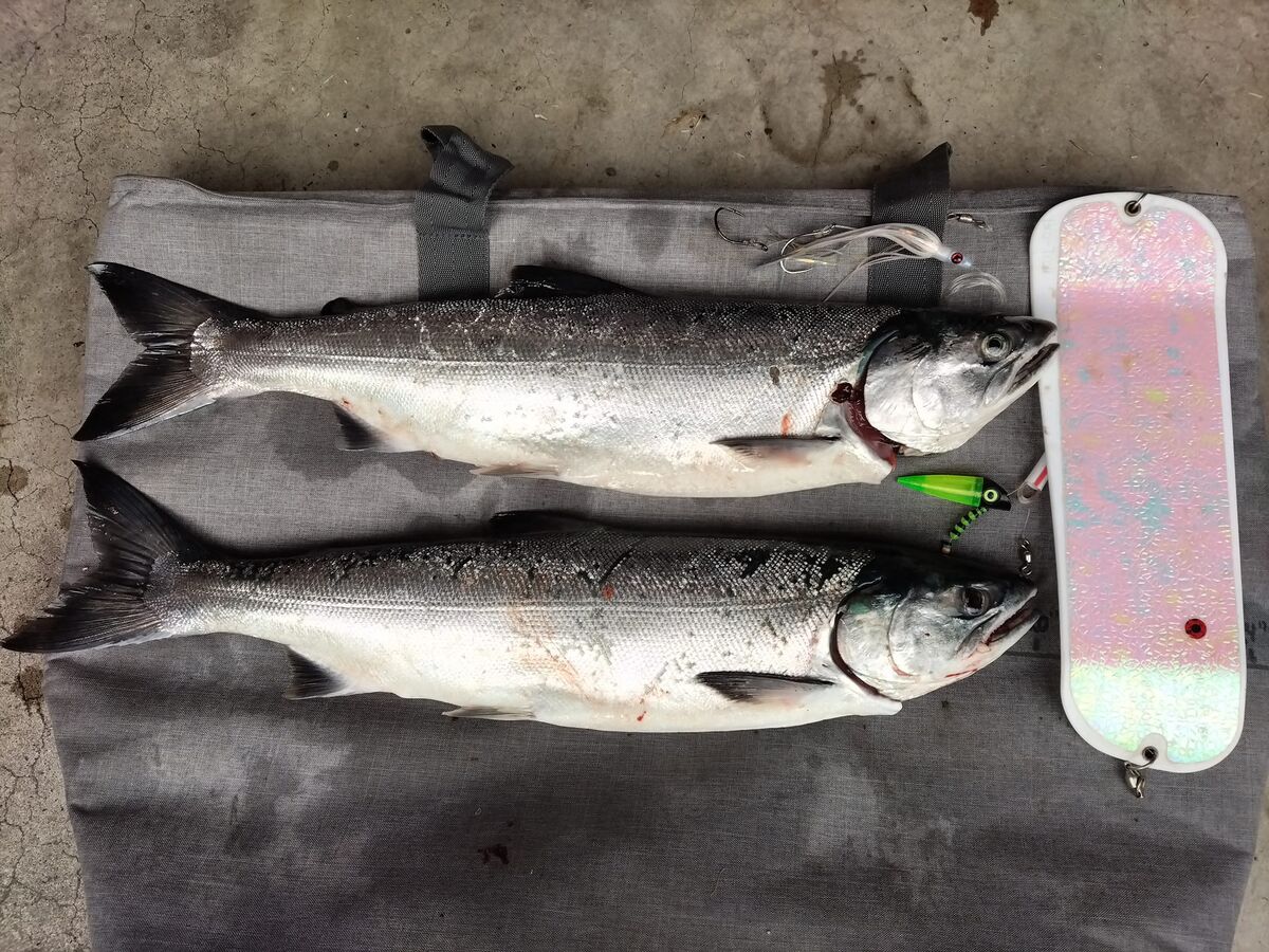 Area 10 Kingston Appletree Cove Local Coho: Had 2 good days with four ...