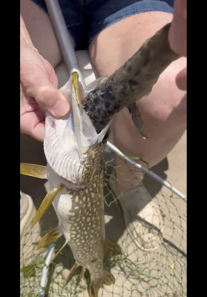 Clear Lake, Indiana Anyone here from Clear Lake? This pike was