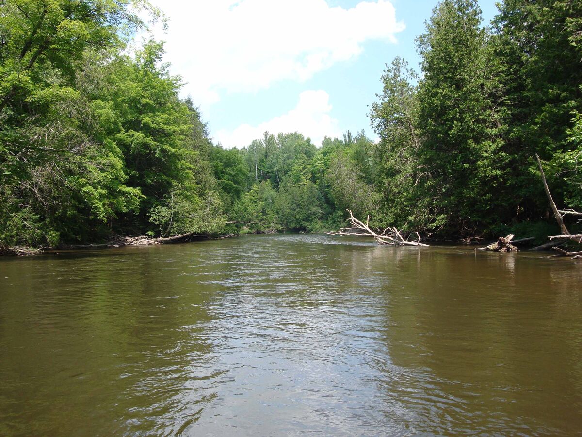 A beautiful river with a pleasant flow rate. Not t...