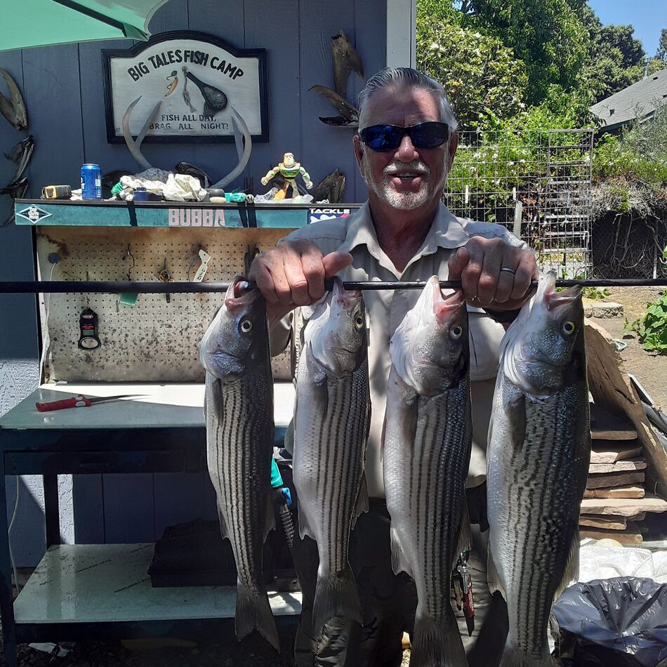 Napa today Well guys Brad and I went out on the Napa today and we