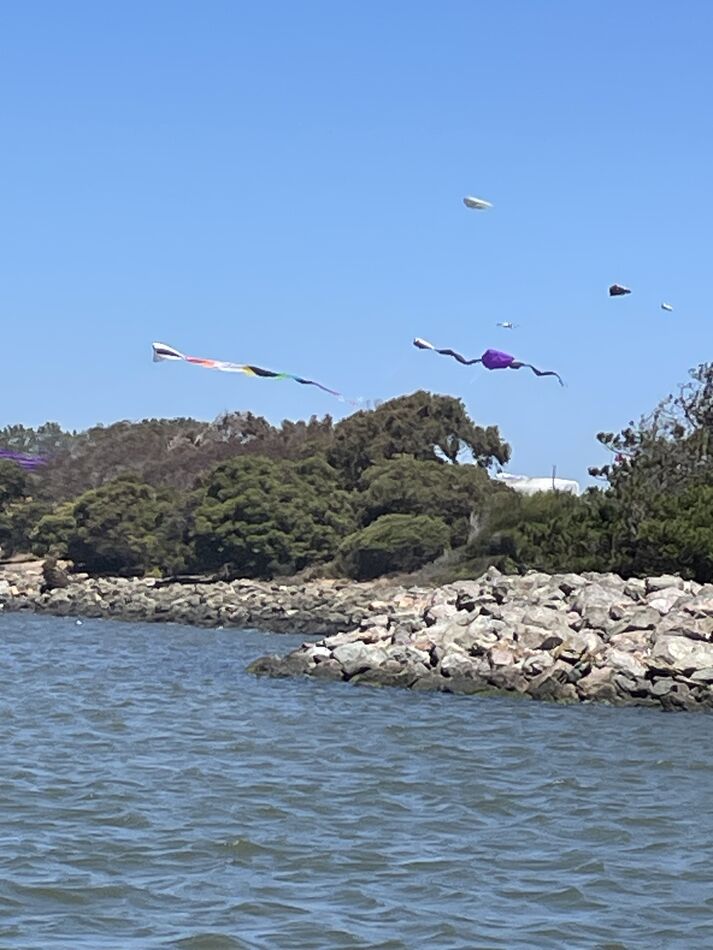 Kites flying at the park next to the marina...