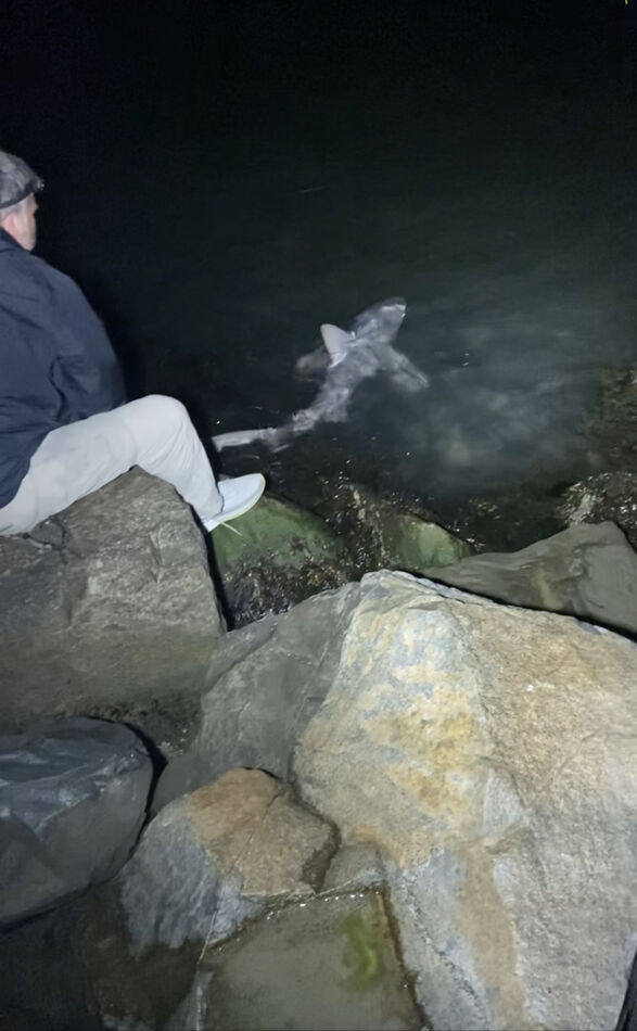 Ocean City Maryland surf fishing…what’s biting? Anyone been to Ocean